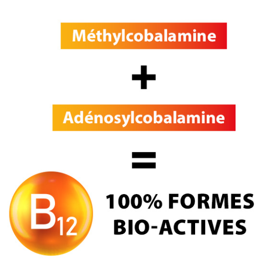 De la vitamine B12 dans le Multivitamines Ixeaboost Multi Premium